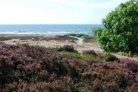 150 M From The In Bornholm *