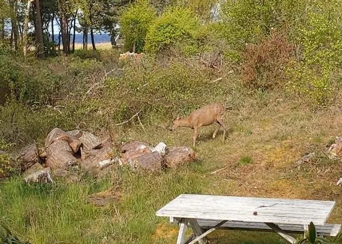 150 M From The In Bornholm * Vester Somarken