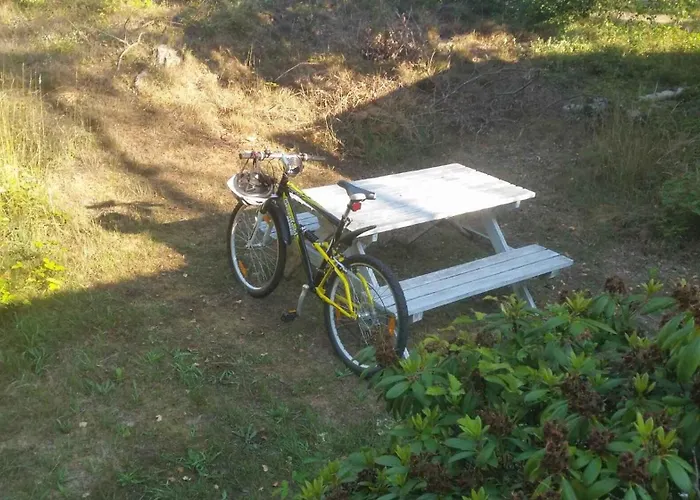 150 M From The In Bornholm Vester Somarken